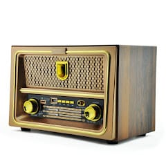 GLR YG-220BT Nostaljik Görünümlü Bluetooth Radyo Hoparlör - Görsel 2