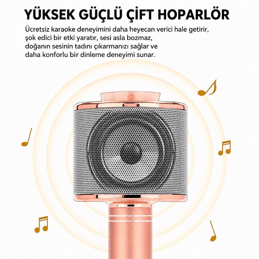 GLR WS-858 Dahili Hoparlörlü Bluetooth Karaoke Mikrofon - Görsel 7