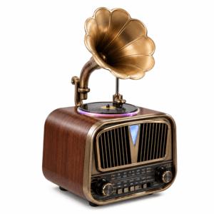 GLR YG-6010 Nostaljik Plak Çalar Görünümlü Bluetooth Radyo Hoparlör